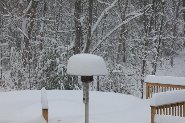 New Camera Dec2010 363